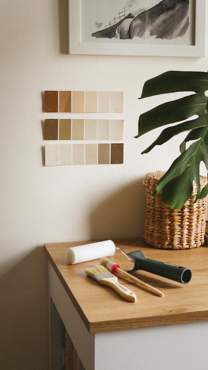 Interior Paint Colors for South Florida Homes: A Homeowner’s Guide Interior Painting